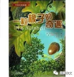 游泳教程书籍_游泳技巧图解经典教材_游泳教材视频教程