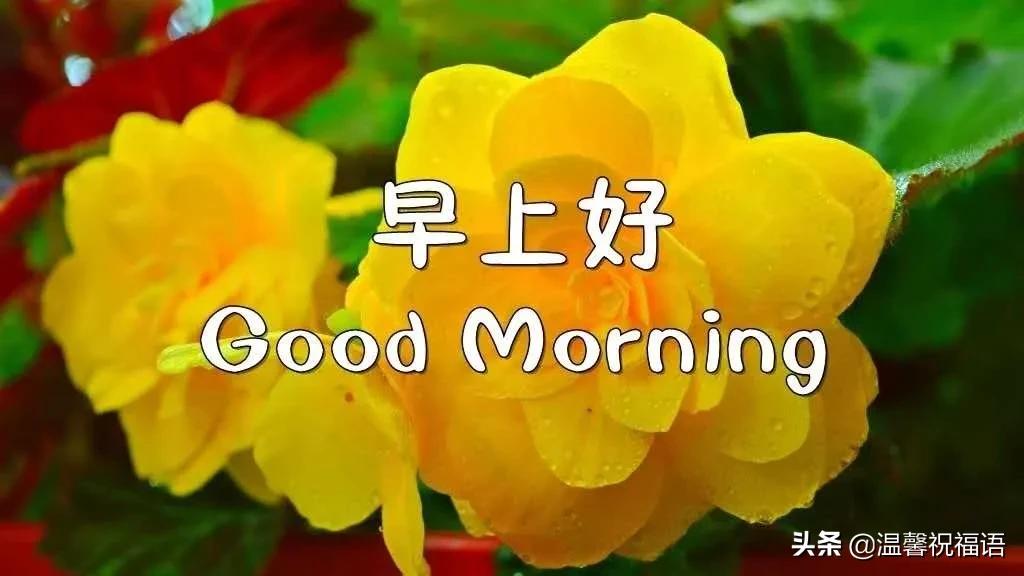 生活小常识问候_生活小常识提问_生活日常问候语