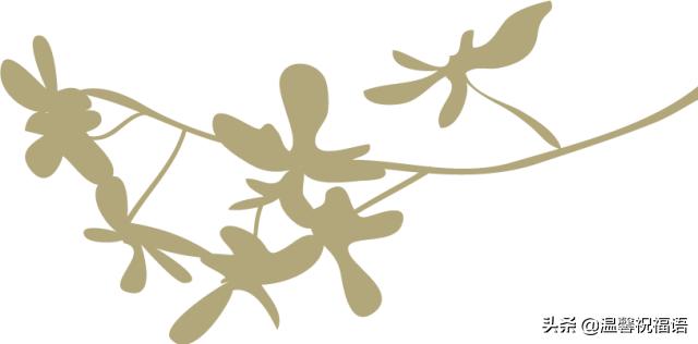 生活日常问候语_生活小常识提问_生活小常识问候