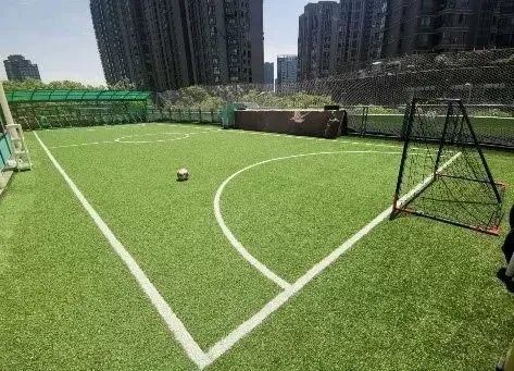 滨江区白马湖杯足球冠军_白马湖杯2020_滨江区白马湖杯足球赛2019