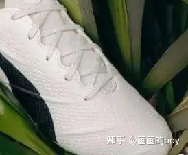 足球双进非双进规则_足球规则全部详细_足球规则简单介绍